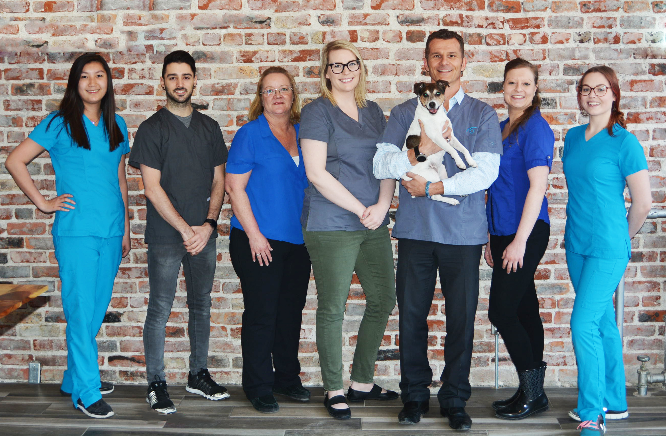 Equipe Ophtalmo Veterinaire, ophtalmologue, spécialiste, Franck Ollivier