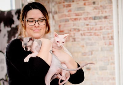 Ocular care cats ophtalmo vétérinaire