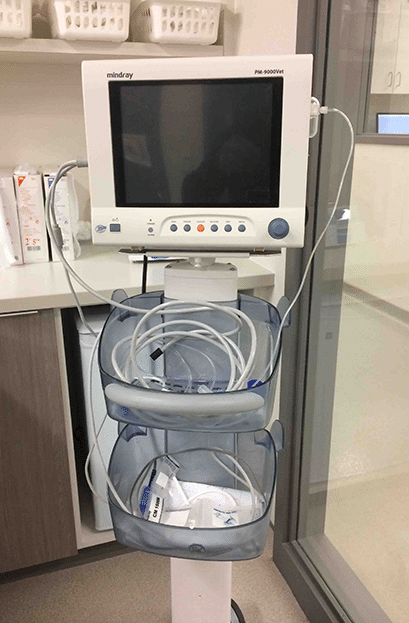 Anesthesia Monitoring machine, dog, cat, vital signs, respiratory rate, oxygen, heart rate