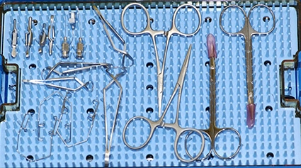 Microsurgical instruments, Ophthalmic surgery, ocular, cataract, conjunctival graft, eyelids, enucleation, dog, cat