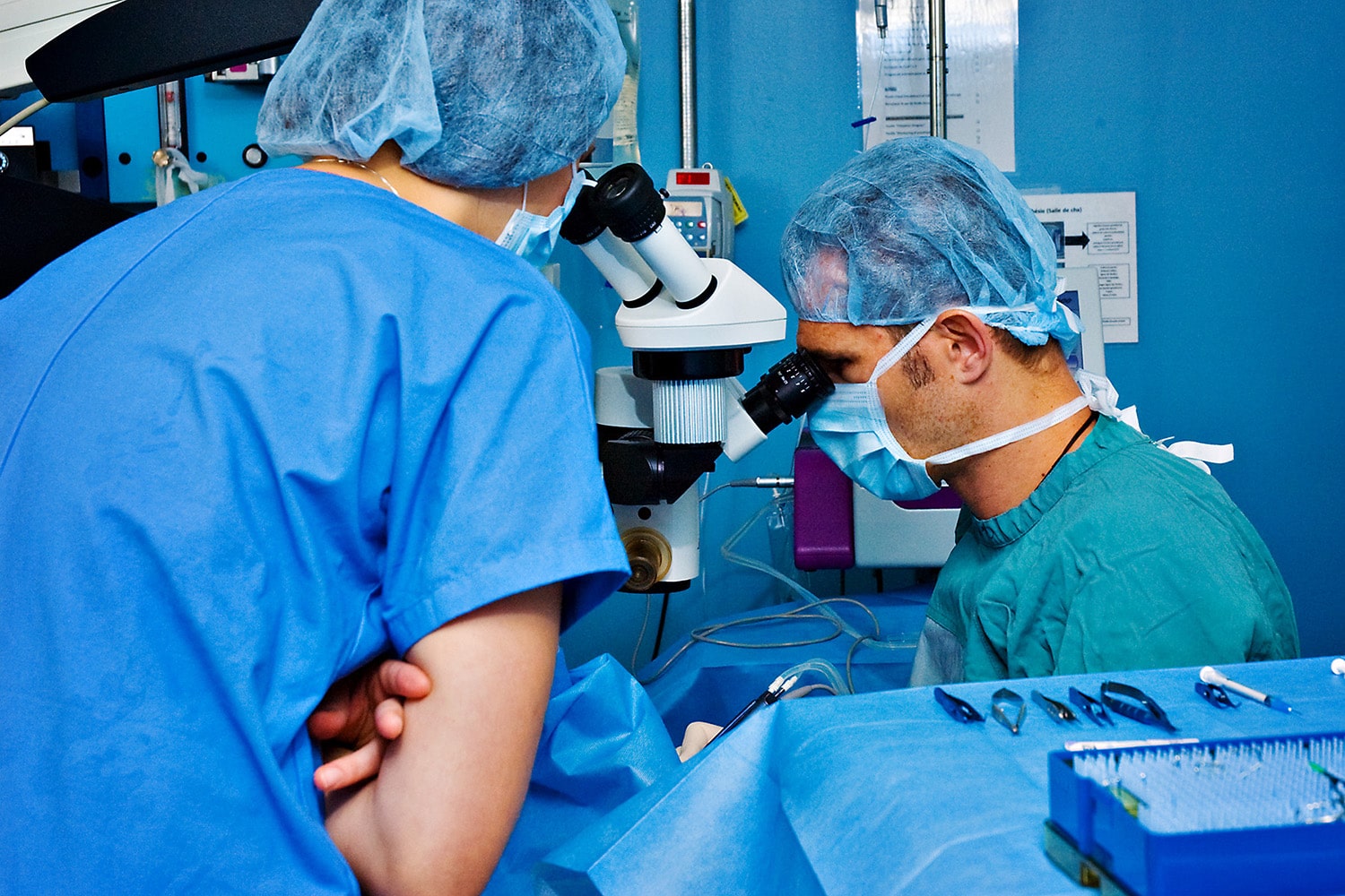 Microsurgical microscope, magnification, eye surgery, eye, dog, cat, cataract, conjunctive graft, luxation, cornea, glaucoma