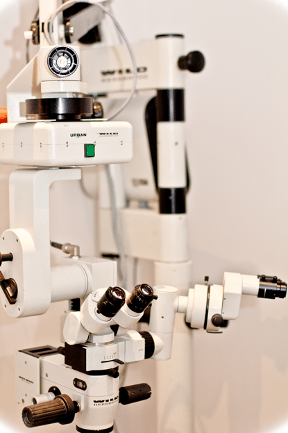 Microsurgical microscope, magnification, eye surgery, eye, dog, cat, cataract, conjunctive graft, luxation, cornea, glaucoma